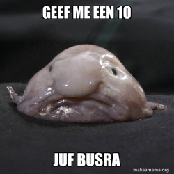 Blobfish