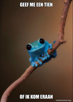 Small Fact Frog