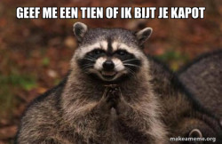 Evil Plotting Raccoon