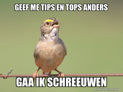Common Opinion Sparrow