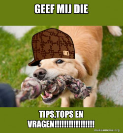 Scumbag dog