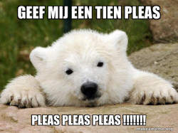 Popular Opinion Bear