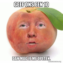 Impeached Donald Trump