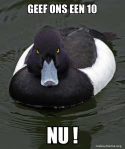 Revenge Duck ( Angry Advice Duck )