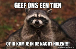 Evil Plotting Raccoon