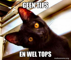 Overly Attached Cat