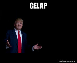 Trump Everything is FIne