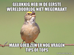 Common Opinion Sparrow