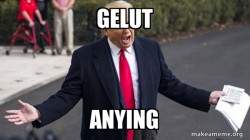 Trump - Impeachment Quid Pro Quo