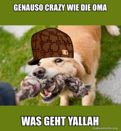 Scumbag dog