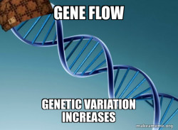Scumbag Genetics