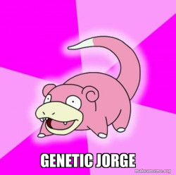 Slowpoke the Pokemon