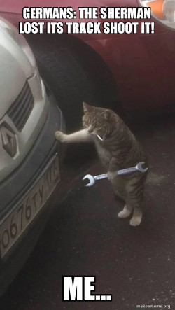 Mechanic Cat