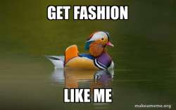 Fashionable Advice Mallard