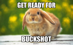 Regretful Rabbit