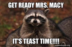 Evil Plotting Raccoon