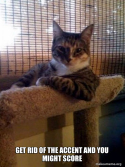The Most Interesting Cat in the World