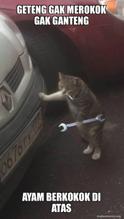 Mechanic Cat