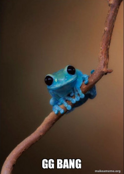Small Fact Frog