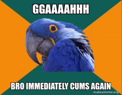 Paranoid Parrot