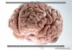 Scumbag Brain