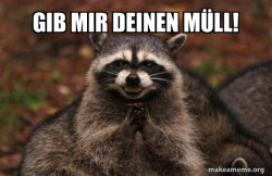 Evil Plotting Raccoon