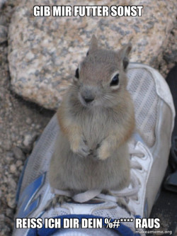 Standover Squirrel