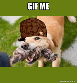 Scumbag dog