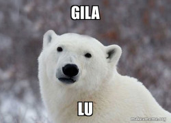Popular Opinion Polar Bear