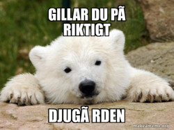 Popular Opinion Bear