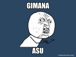 Y U No