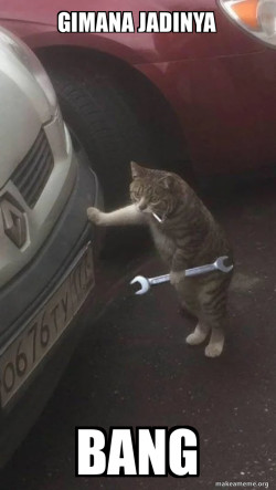 Mechanic Cat
