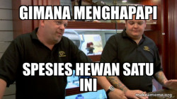 Pawn Stars