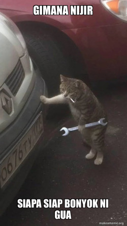 Mechanic Cat