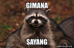 Evil Plotting Raccoon
