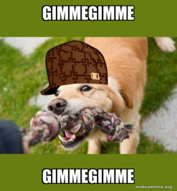 Scumbag dog