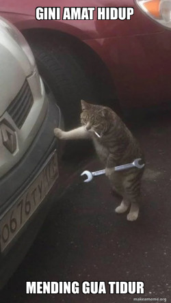Mechanic Cat
