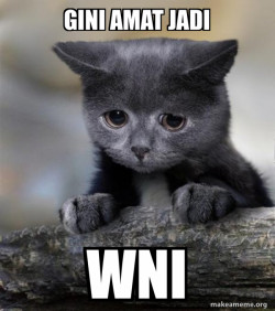 Confession Cat