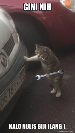 Mechanic Cat