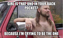 Almost Politically Correct Redneck