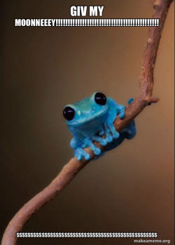 Small Fact Frog