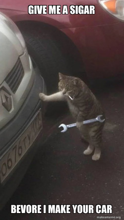 Mechanic Cat