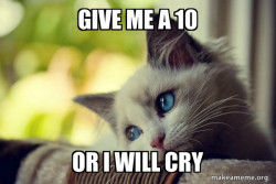 First World Cat Problems