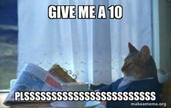 Sophisticated Cat