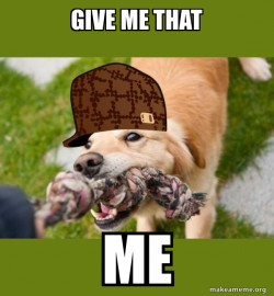 Scumbag dog