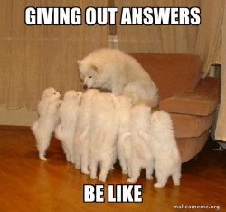 Storytelling Dog