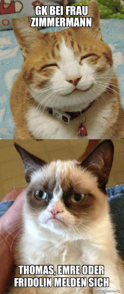 Grumpy Cat vs Happy Cat
