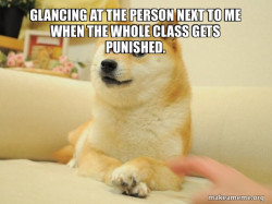 Doge