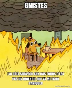 This Is Fine