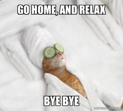 Pampered Cat Meme